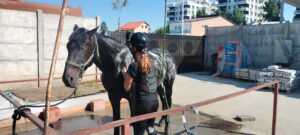 IMG-20240807-WA0008